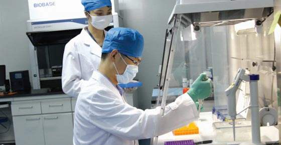 湛江怎么做亲子鉴定？做亲子鉴定需要多少钱？