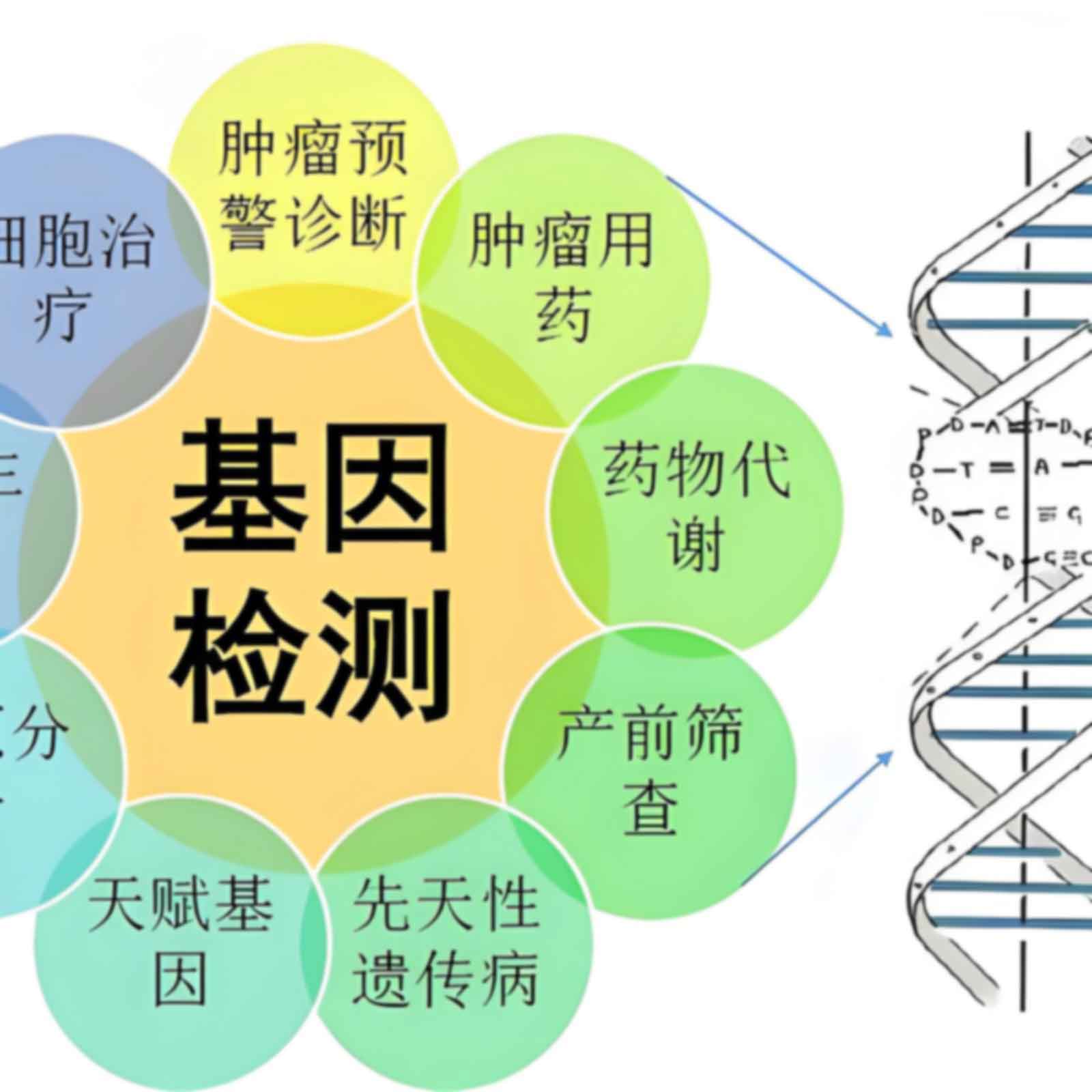 湛江赤坎区匿名亲子鉴定指甲可以做吗