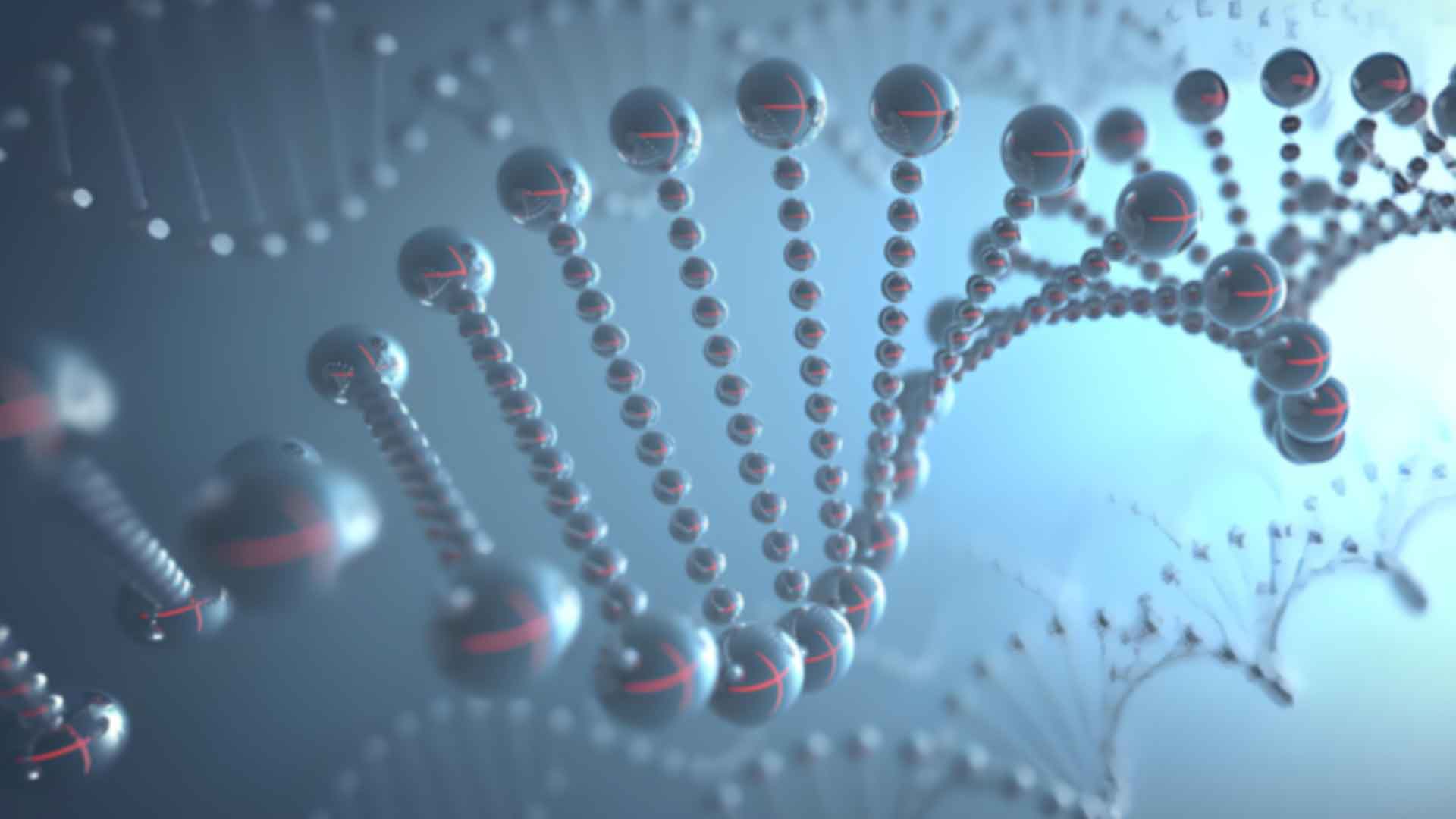 遂溪亲子鉴定价格揭秘：影响费用的主要因素