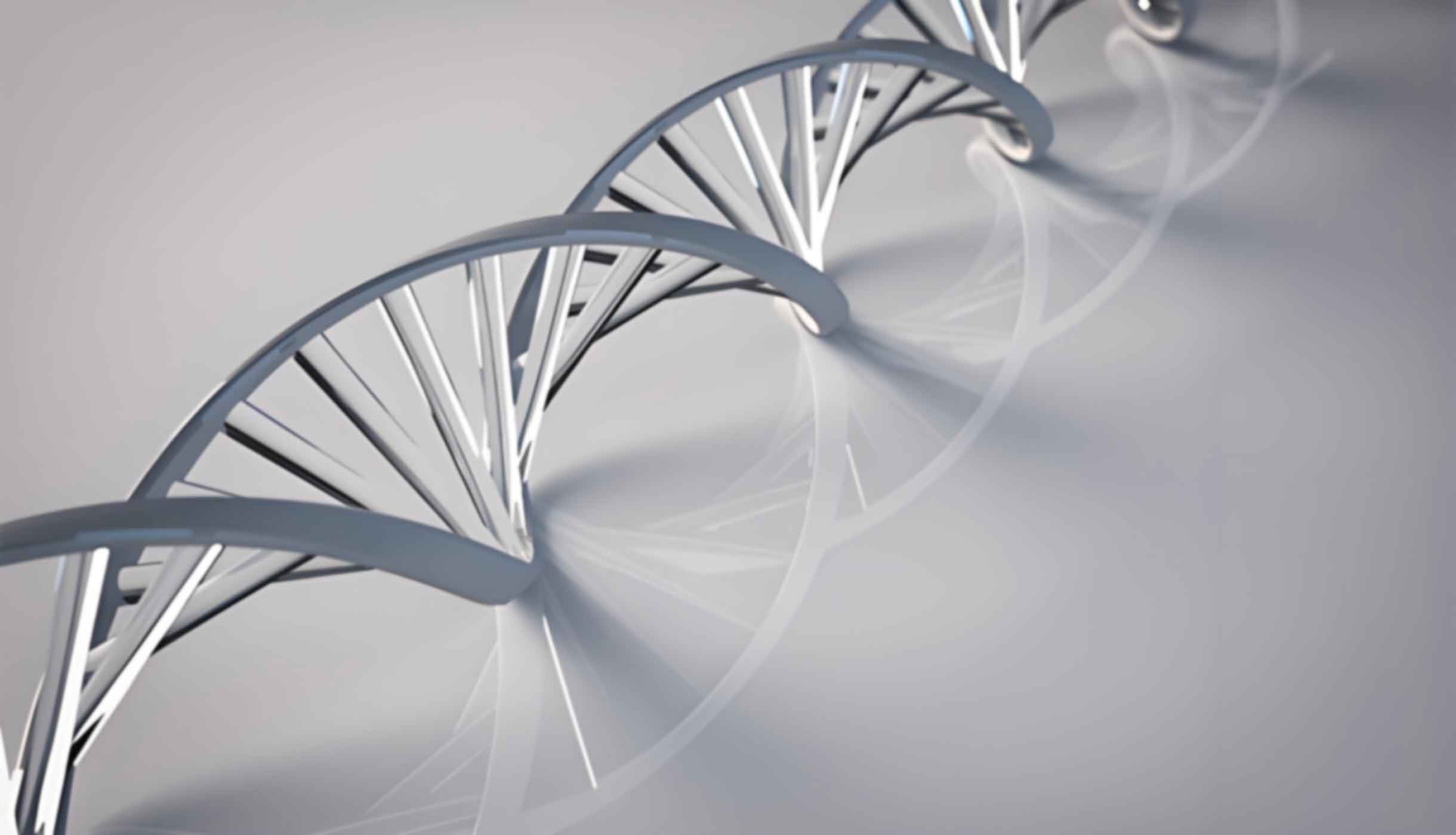 湛江赤坎区无创亲子鉴定哪家医院可以做